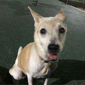 Meet your Posher, Ann